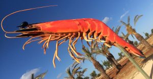 The Big Prawn
